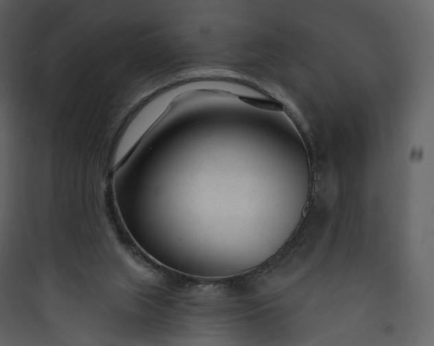 X0000089940063200707131503