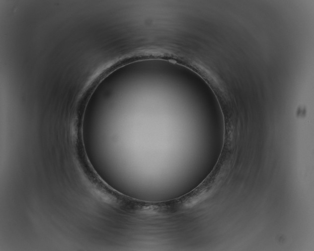 X0000089940064200707131503