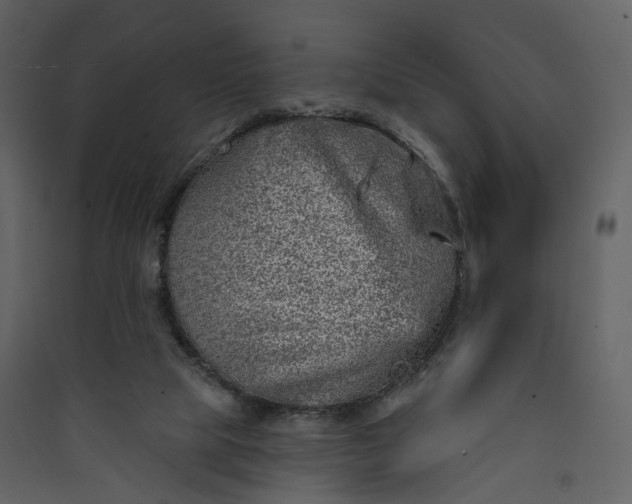 X0000089940065200707131503