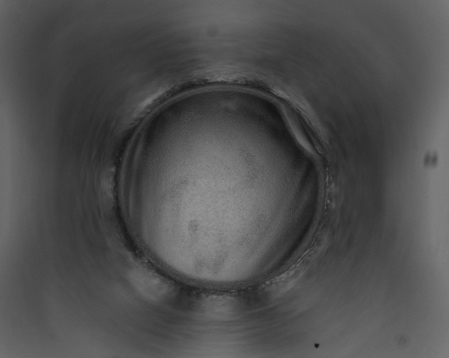 X0000089940066200707131503