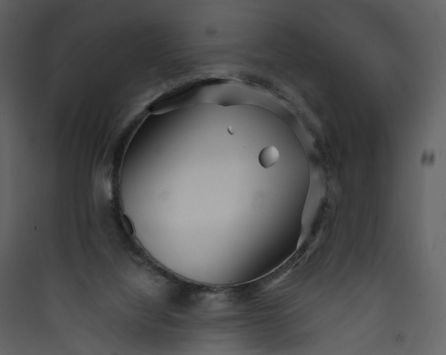 X0000089940068200707131503