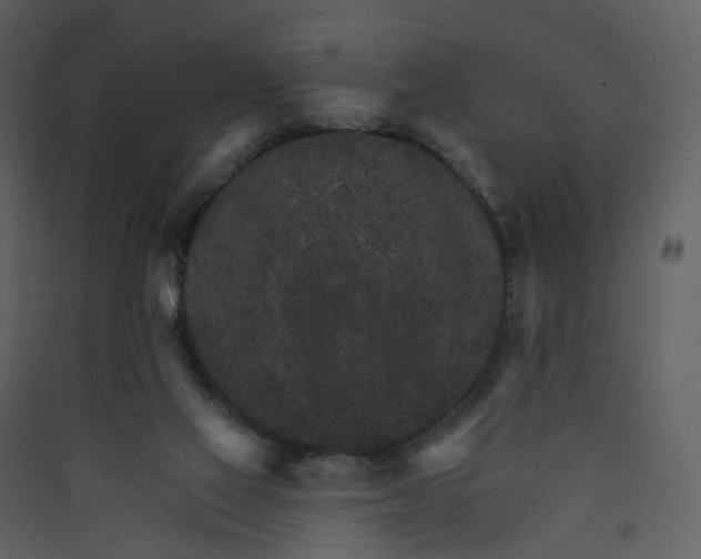 X0000089940069200707131503