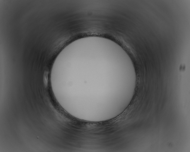 X0000089940070200707131503