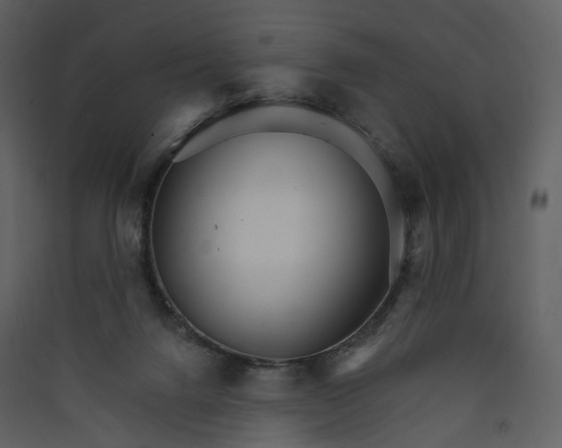 X0000089940072200707131503