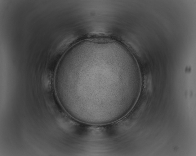 X0000089940073200707131503