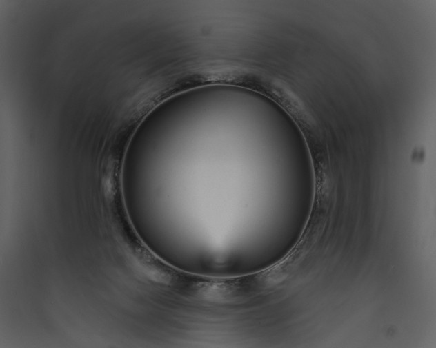 X0000089940074200707131503