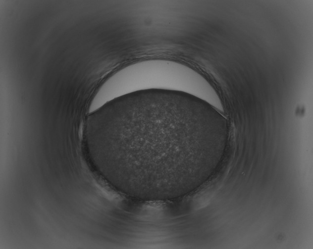 X0000089940076200707131503