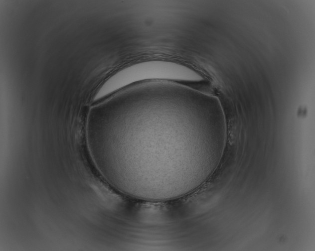 X0000089940077200707131503