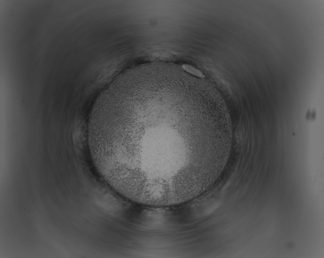 X0000089940079200707131503