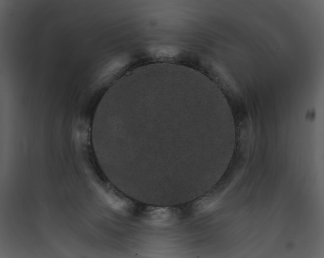 X0000089940083200707131503