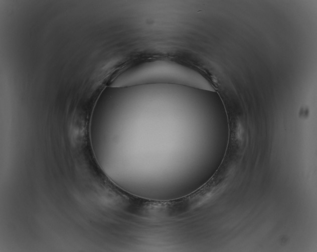 X0000089940084200707131503