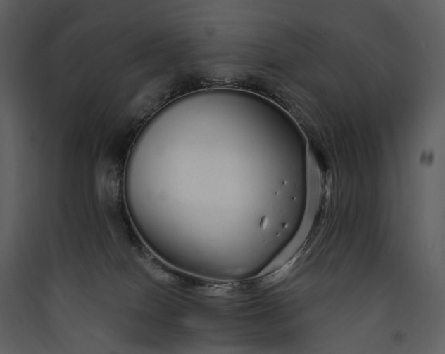 X0000089940086200707131503