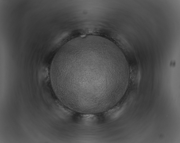 X0000089940087200707131503