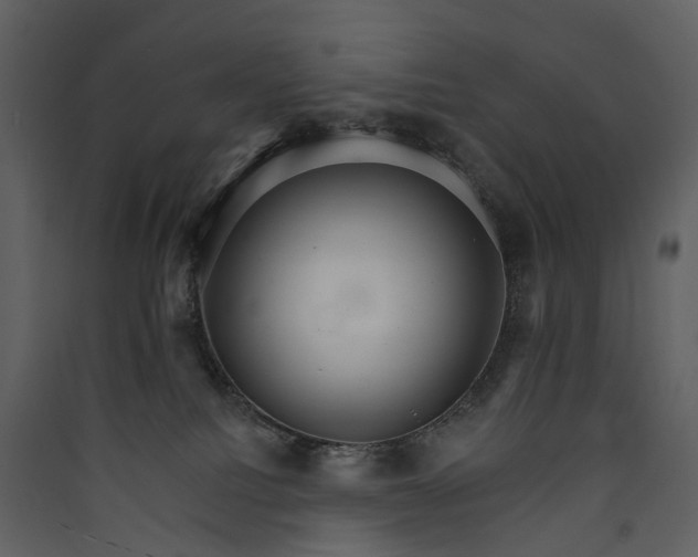 X0000089940088200707131503