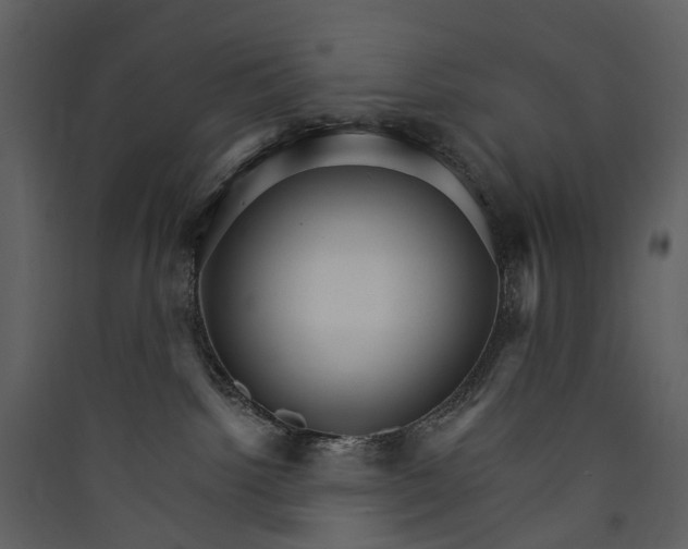 X0000089940092200707131503