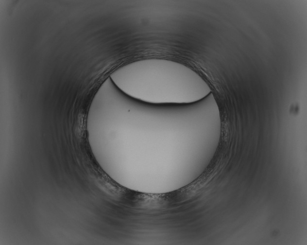 X0000089940093200707131503