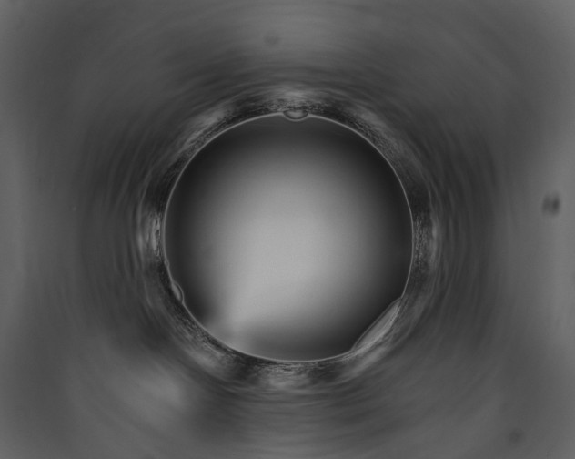 X0000089940094200707131503