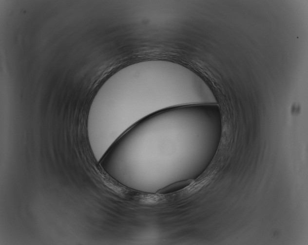 X0000089940096200707131503