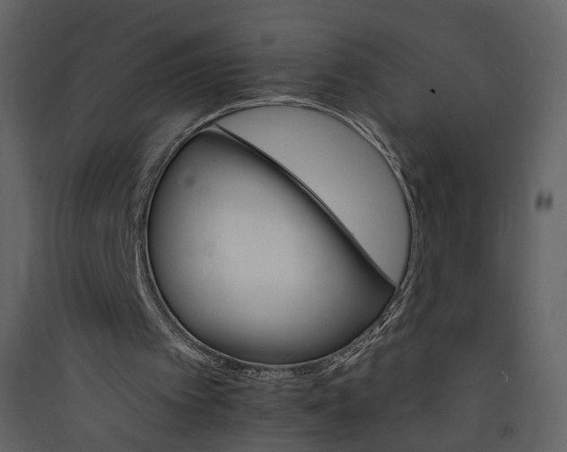 X0000089940097200707131503