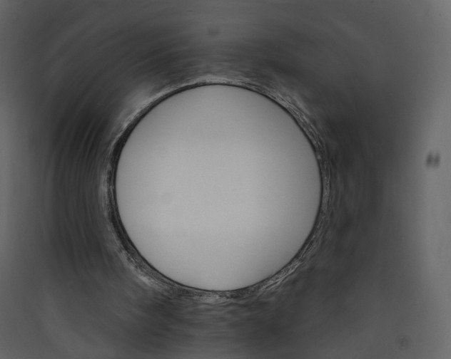 X0000089940098200707131503