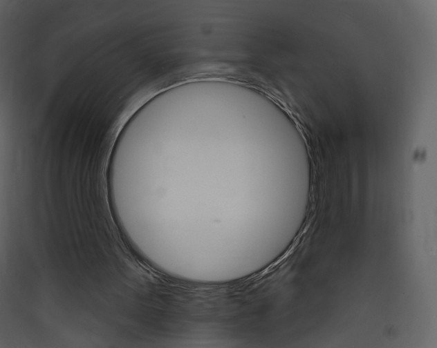 X0000089940099200707131503