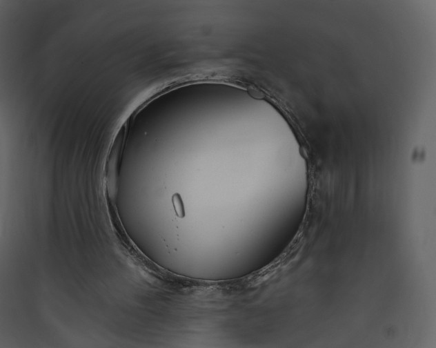 X0000089940100200707131503