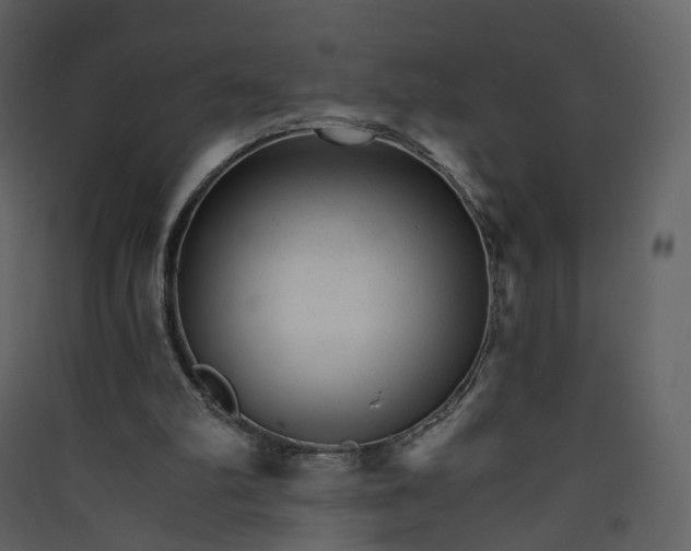 X0000089940102200707131503