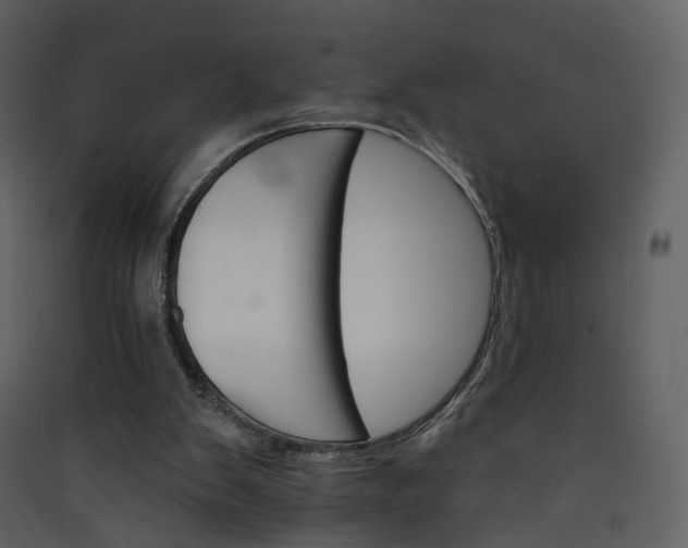 X0000089940103200707131503