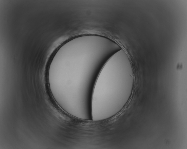 X0000089940104200707131503