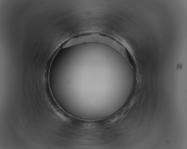 X0000089940105200707131503