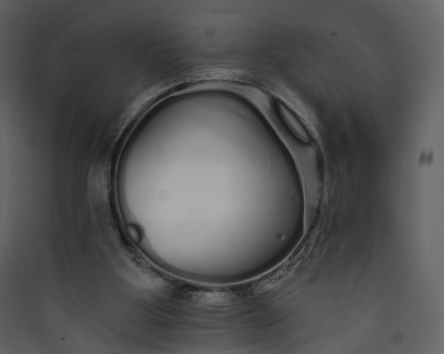 X0000089940107200707131503