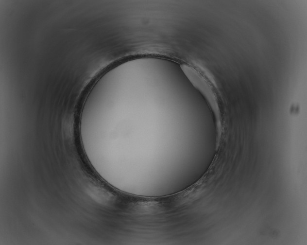 X0000089940108200707131502