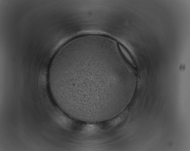 X0000089940111200707131502