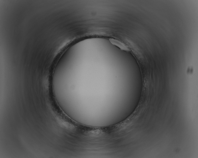 X0000089940112200707131502