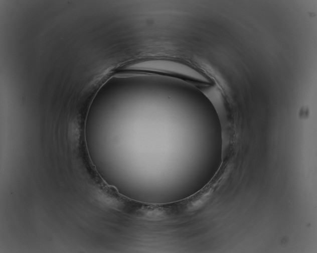 X0000089940113200707131502