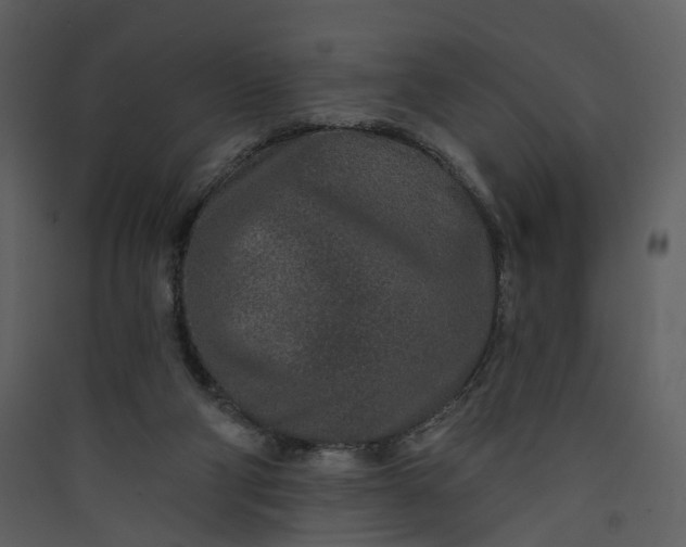 X0000089940114200707131502