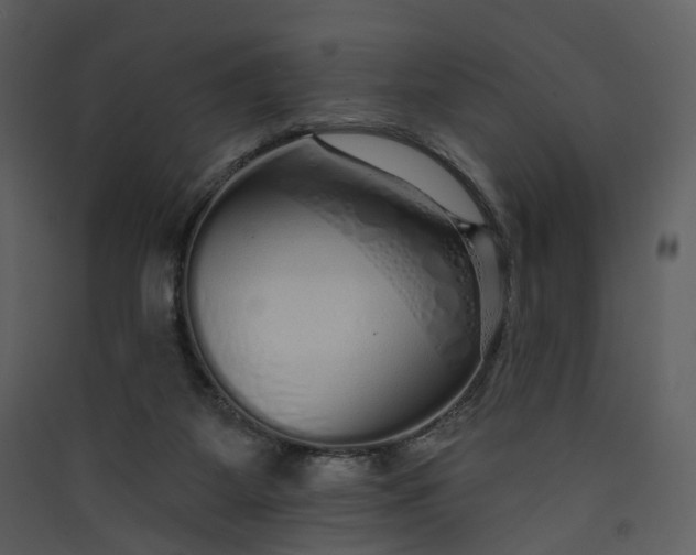 X0000089940115200707131502