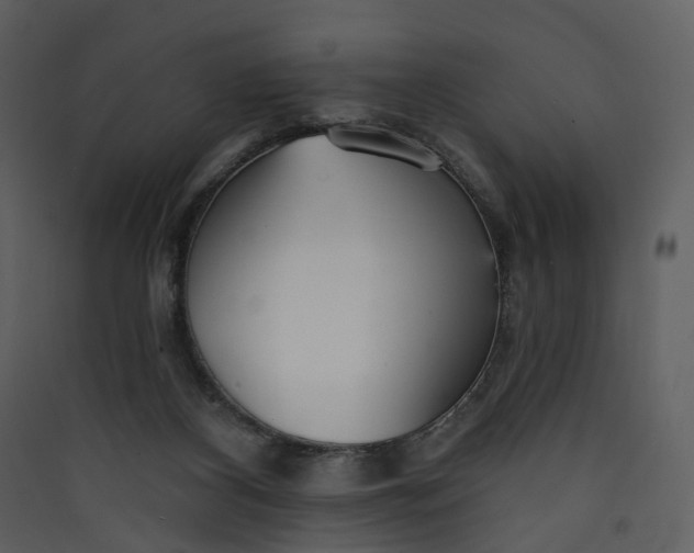 X0000089940116200707131502