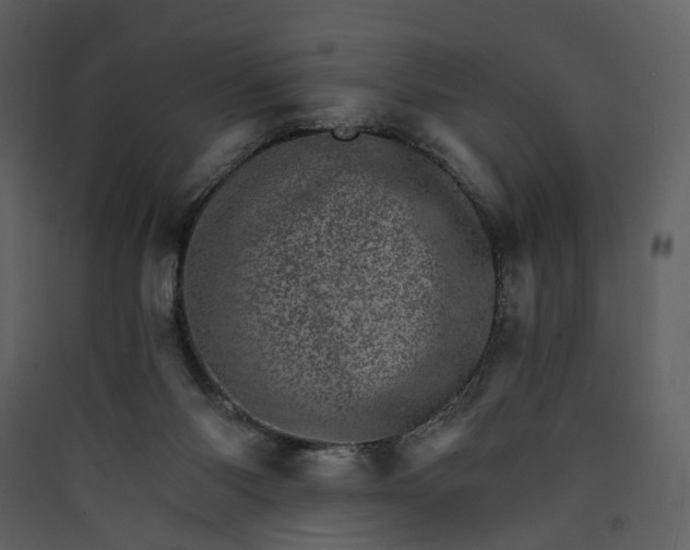 X0000089940118200707131502