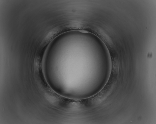 X0000089940119200707131502