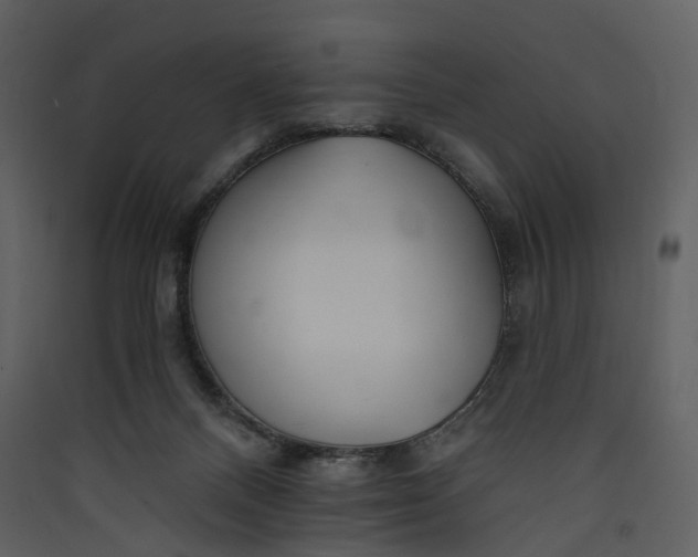 X0000089940120200707131502