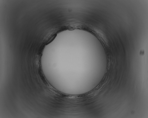 X0000089940121200707131502