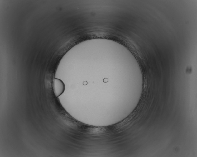 X0000089940122200707131502