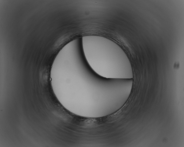 X0000089940124200707131502