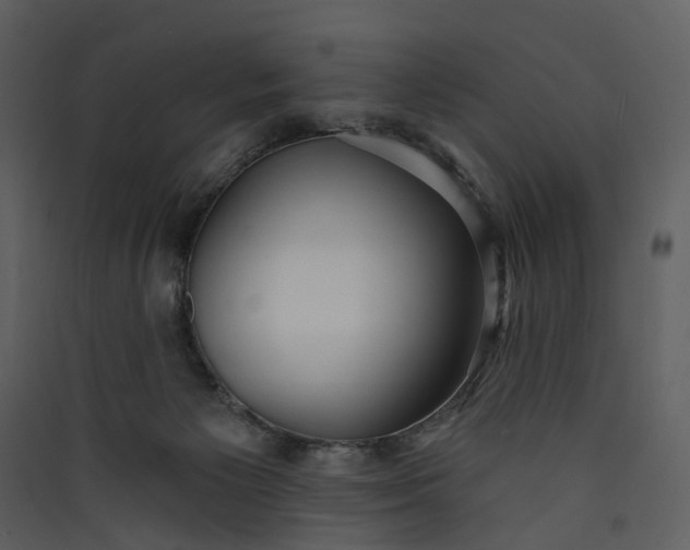 X0000089940125200707131502