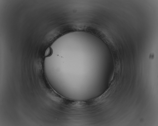 X0000089940128200707131502