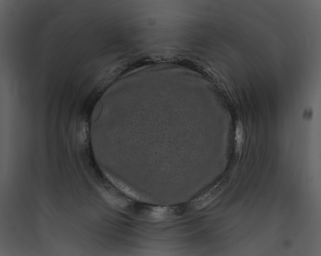 X0000089940130200707131502