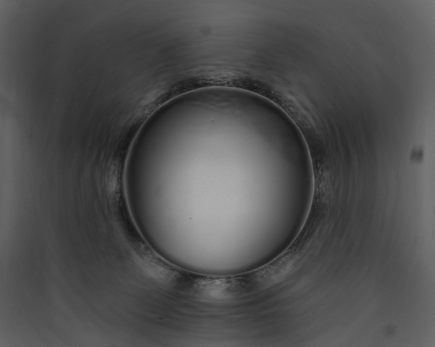 X0000089940131200707131502