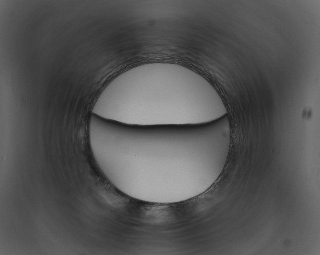 X0000089940132200707131502