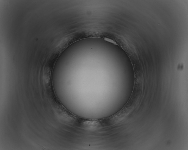 X0000089940133200707131502